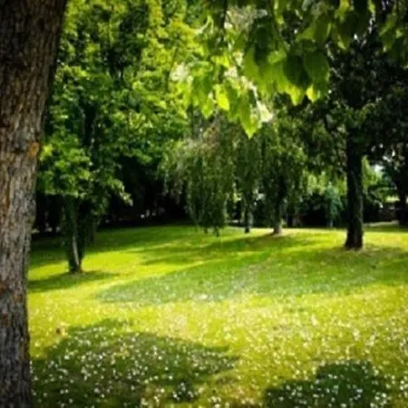 Nocleg ze śniadaniem Magnolie 3*