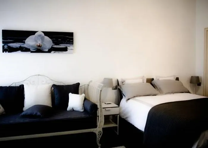 Magnolie كوربيتّا