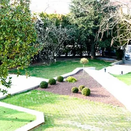 Magnolie Corbetta